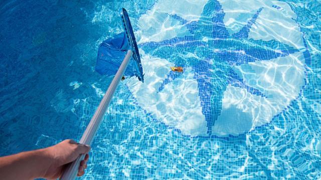 Swimming pool leaf skimmer net In action